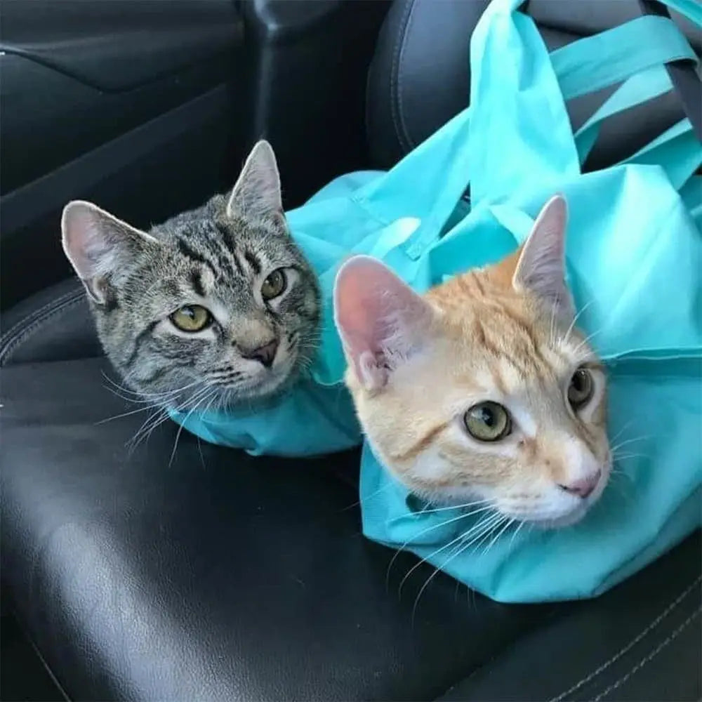Zentrivo Anti Scratching Travel Cat Carrier Pouch