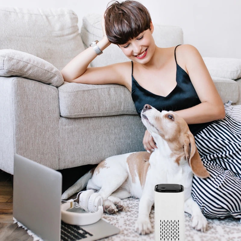 Zentrivo Pet Air Purifier